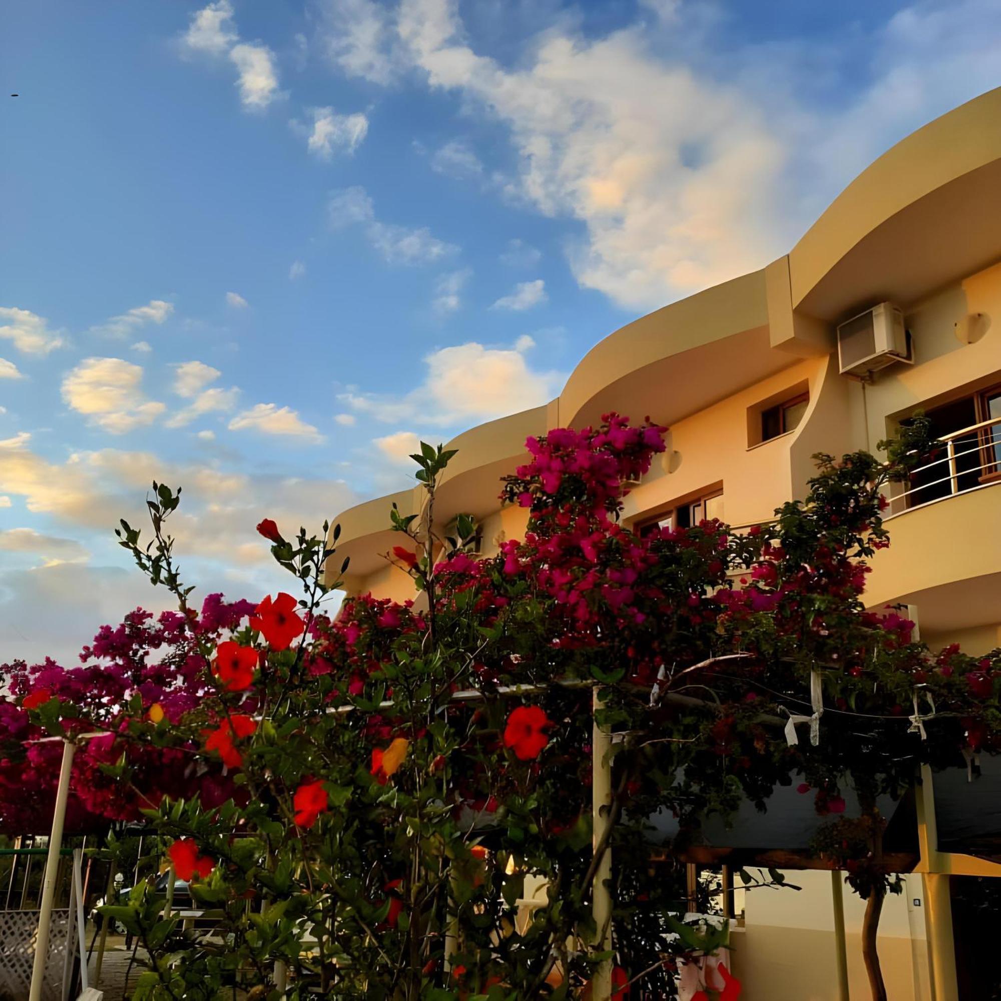 Radhimë Hotel Sirena מראה חיצוני תמונה